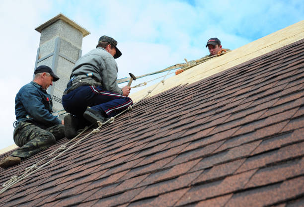 Best Gutter Installation and Roofing  in Yardville, NJ